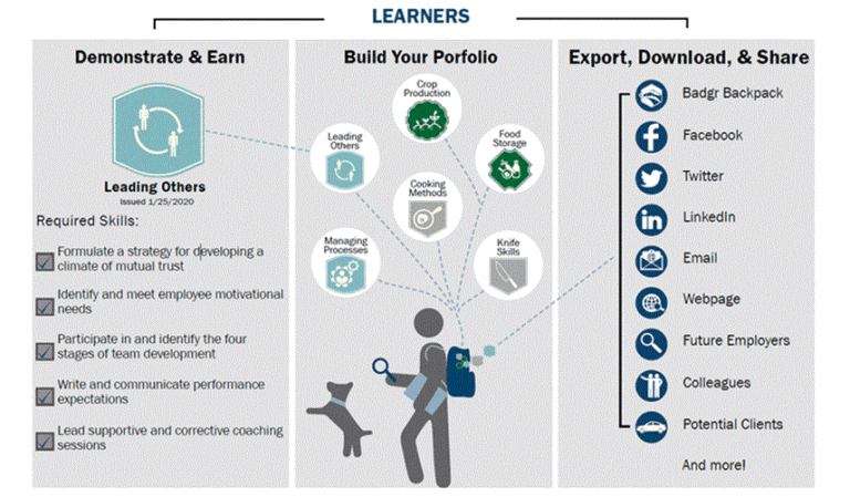 Skill Stack